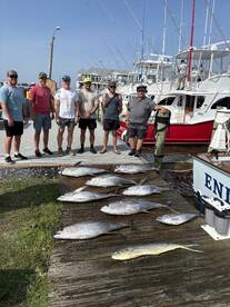 Nice day of kite fishing 