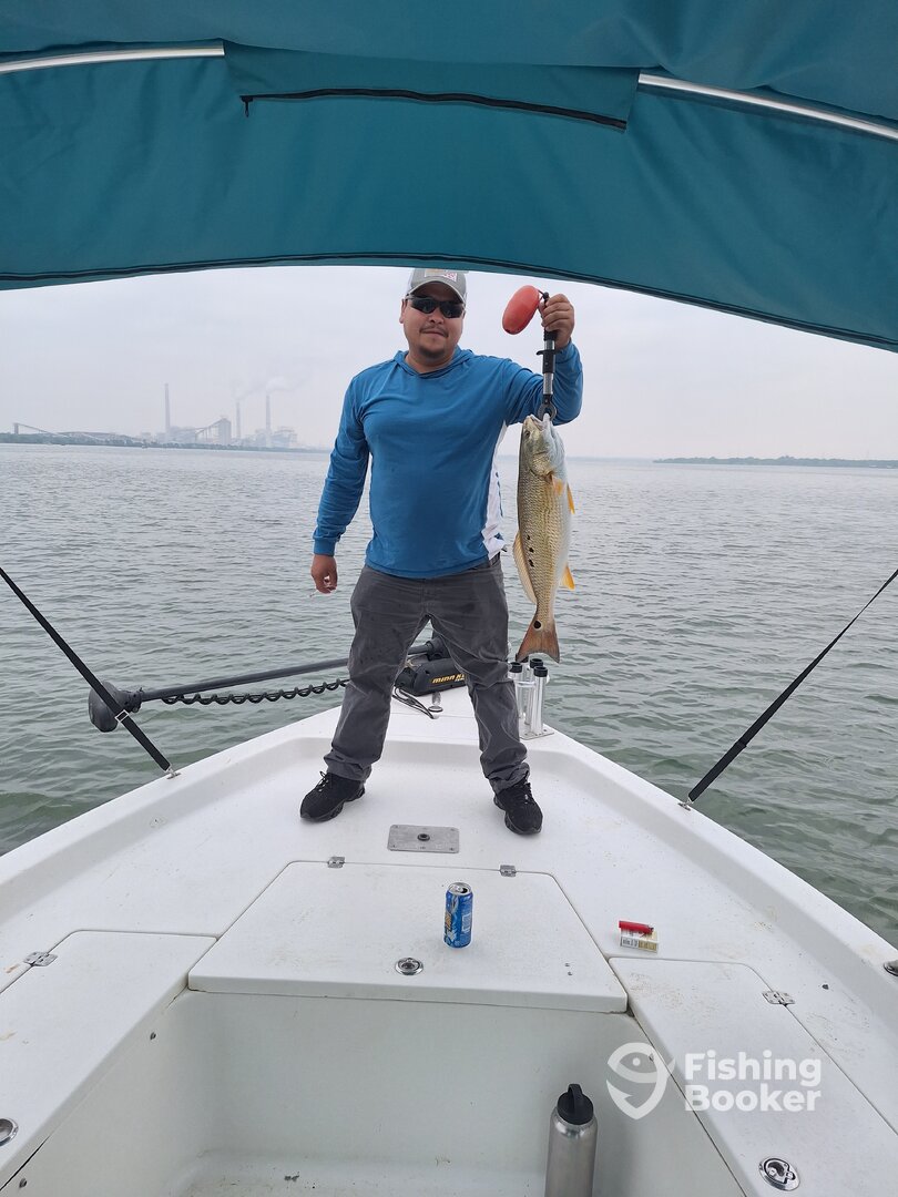 San Antonio Report Photo 0