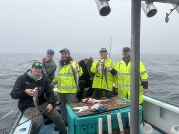 Rough weather, hadfock reds 