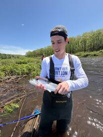 Downingtown Report Photo 4