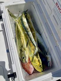 West Palm Beach Report Photo 2