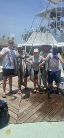 Fort Lauderdale Report Photo 2