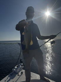 Clewiston Report Photo 1