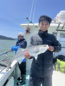 San Francisco Report Photo 2