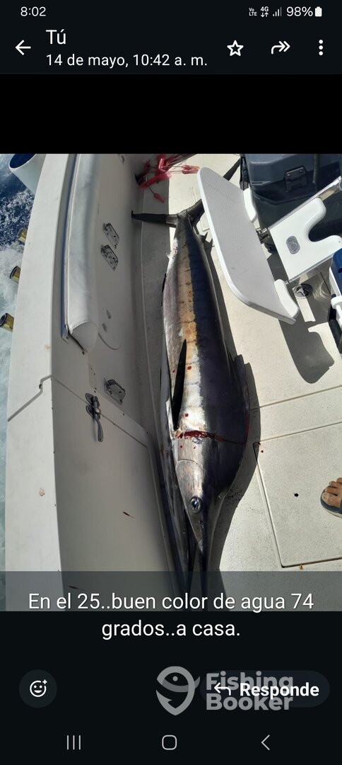 San Jose del Cabo Report Photo 0