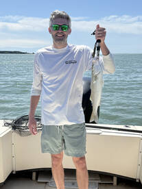 Bellevue Report Photo 1