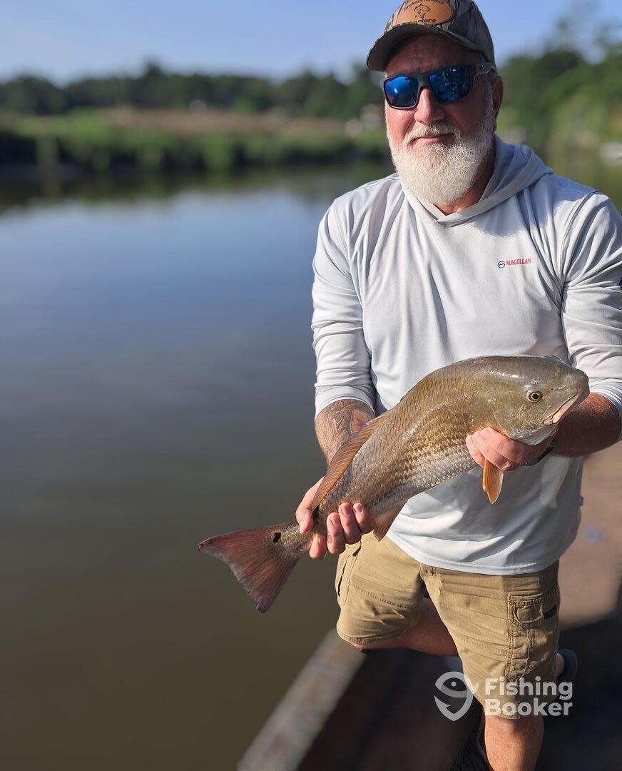 Darien Report Photo 0