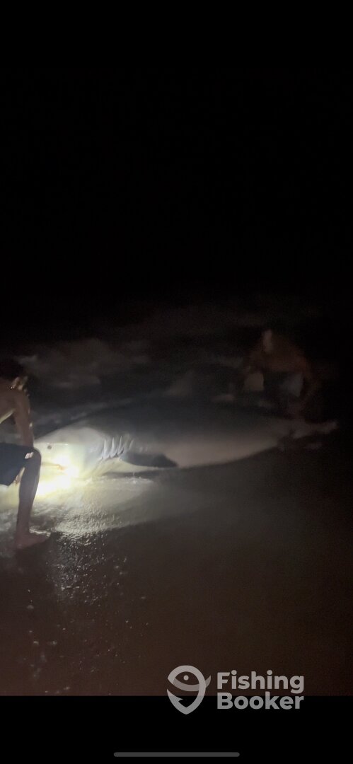 Destin Report Photo 0