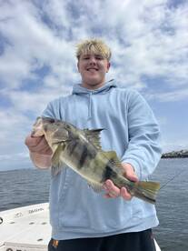 Alamitos Bay Report Photo 3