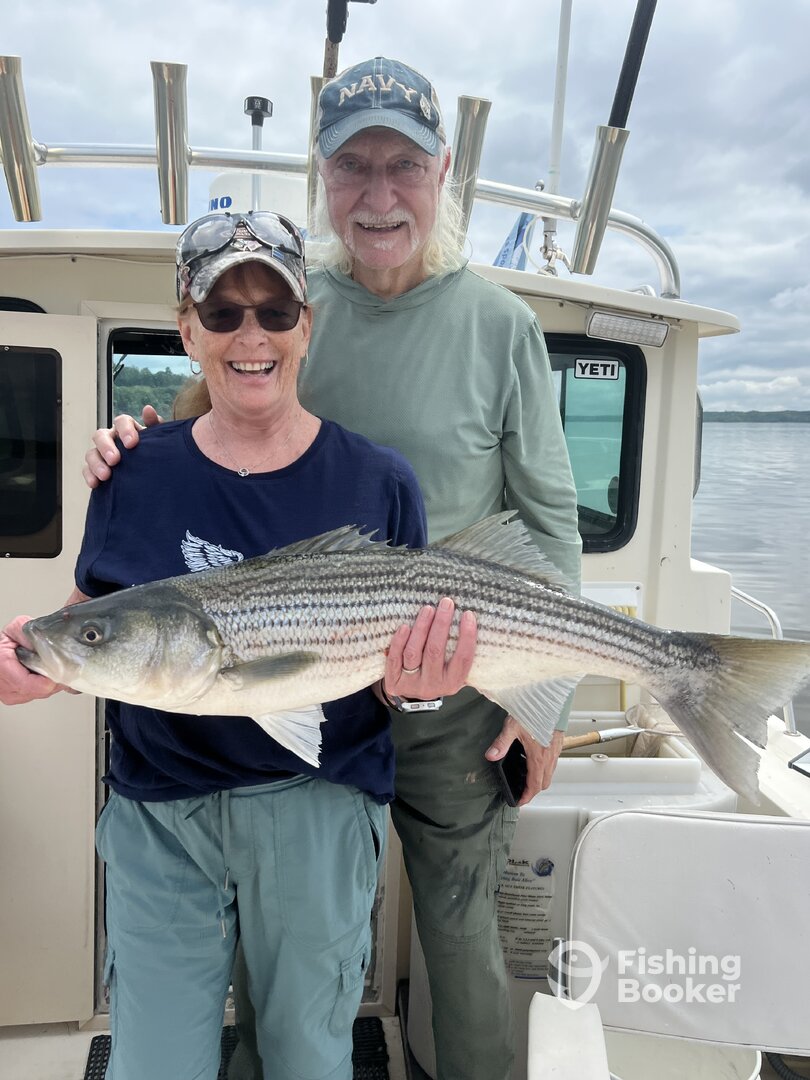 Saugerties Report Photo 0