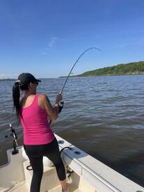 Saugerties Report Photo 2