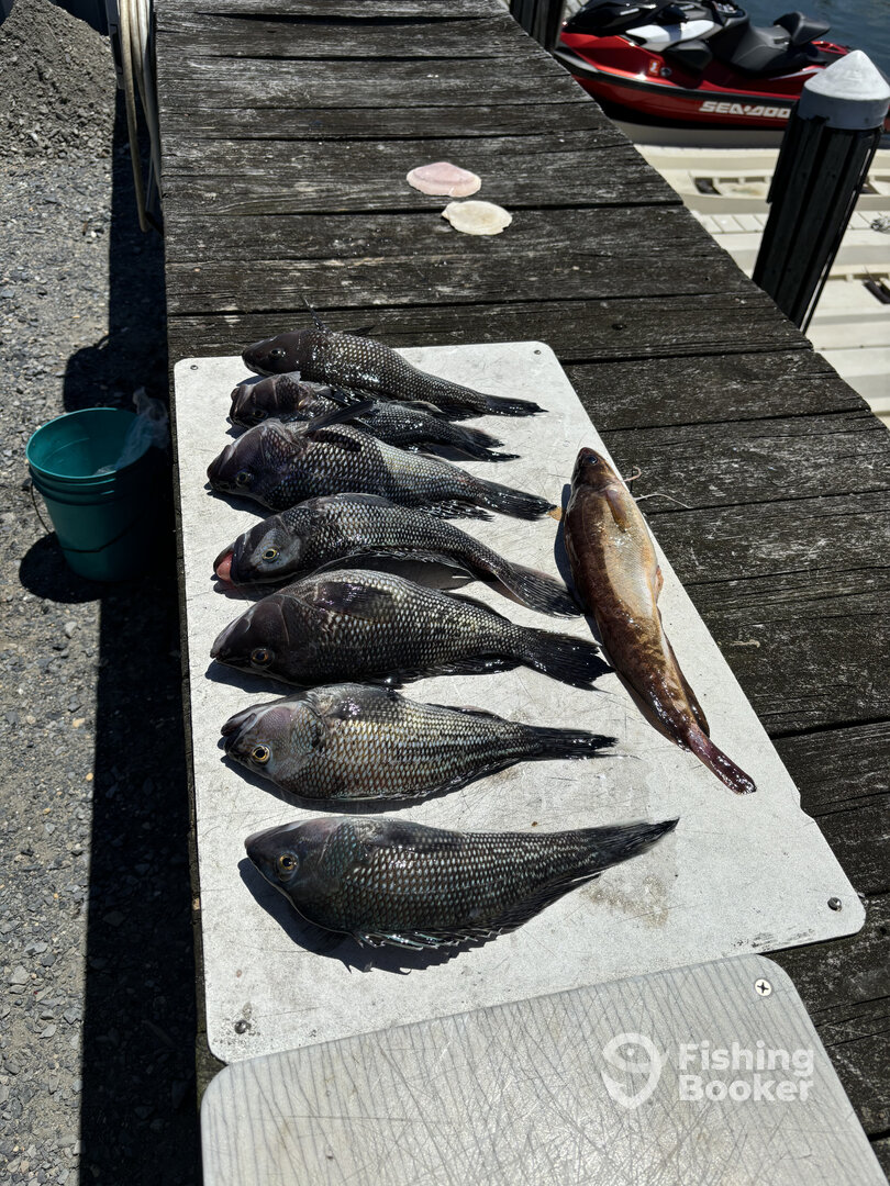 Brigantine Report Photo 0