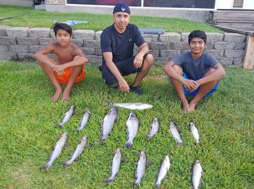 Lake Conroe - Catfish and Hybrids