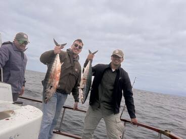 Local Bonita and Rockfish