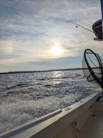 Kill Devil Hills Report Photo 2