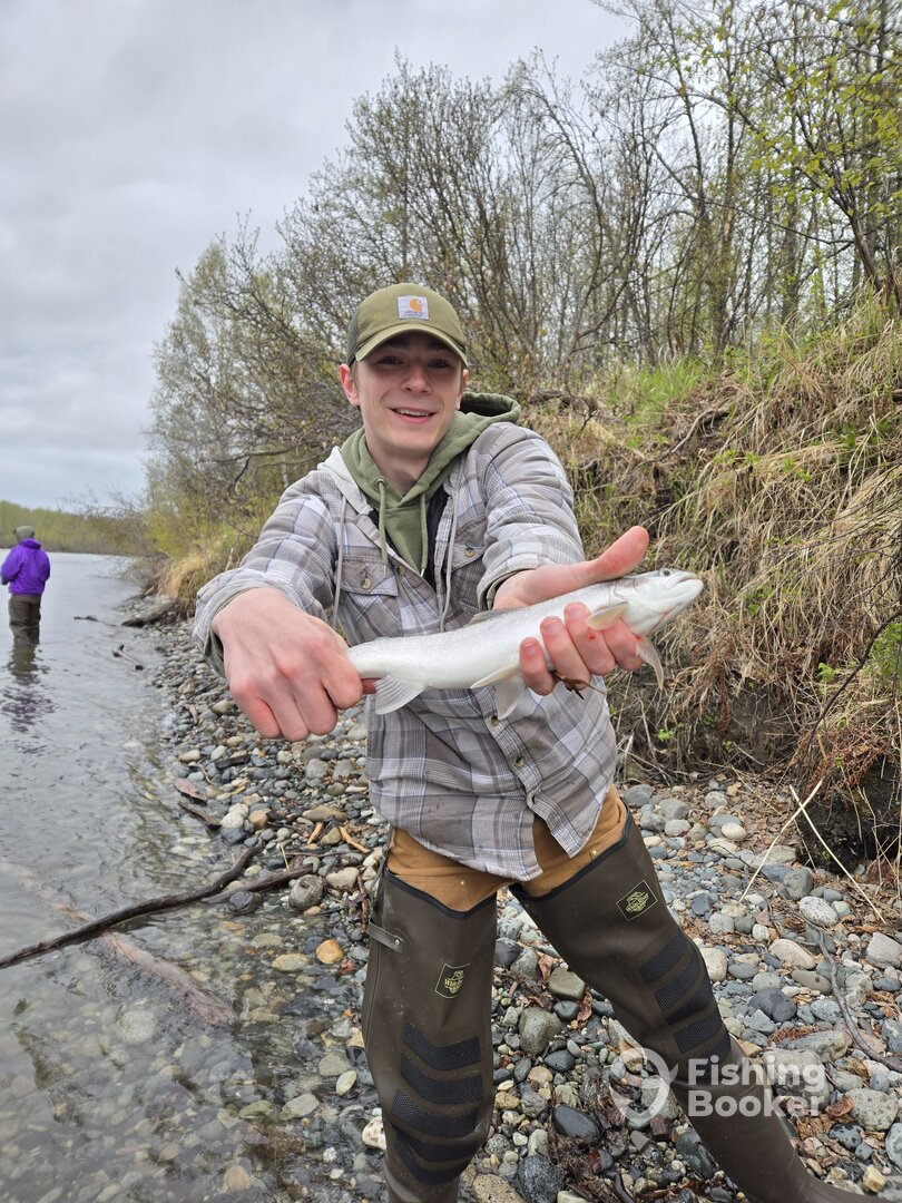 Palmer Report Photo 0