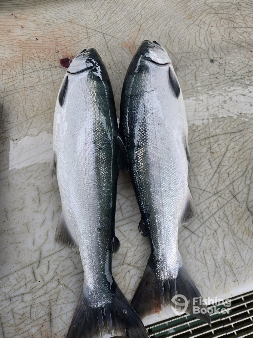 Seward Report Photo 0