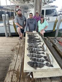 Inshore bite good regardless of the wind