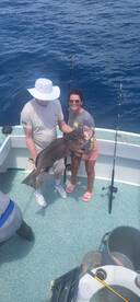 Destin Report Photo 1