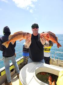 Half day rock fishing success..