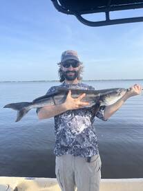 Cobia fishing