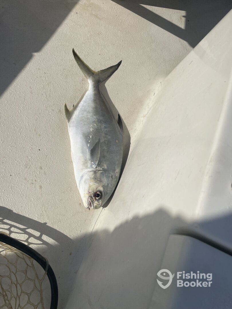 Port St. Joe Report Photo 0