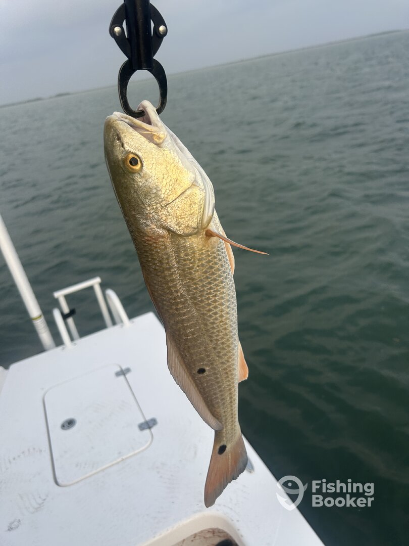 Rio Hondo Report Photo 0