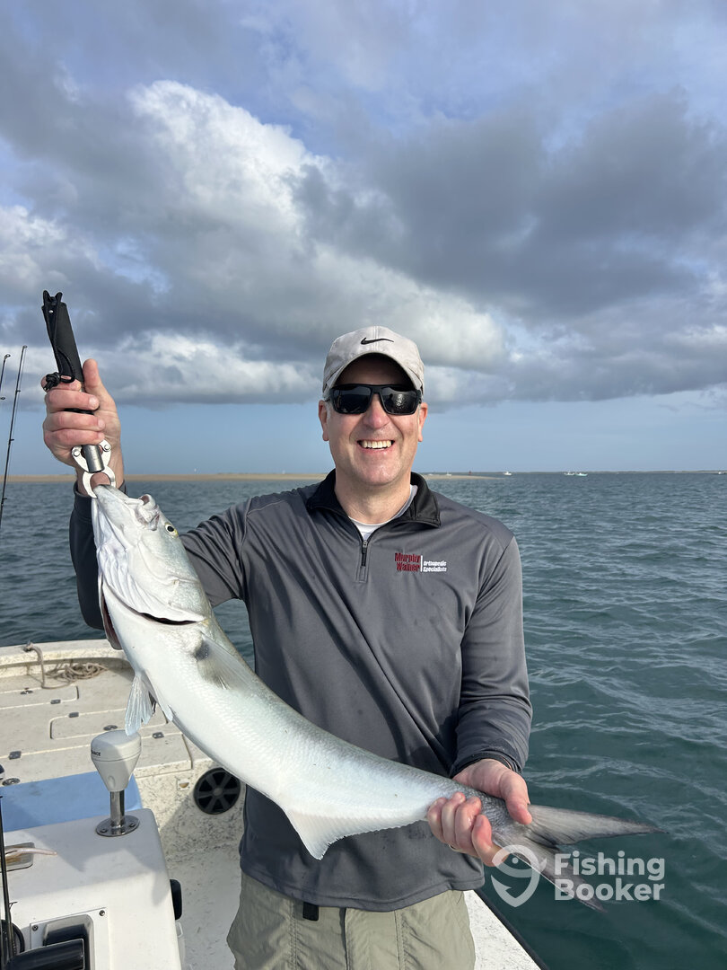 Beaufort Report Photo 0