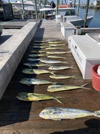 Atlantic Beach Report Photo 2