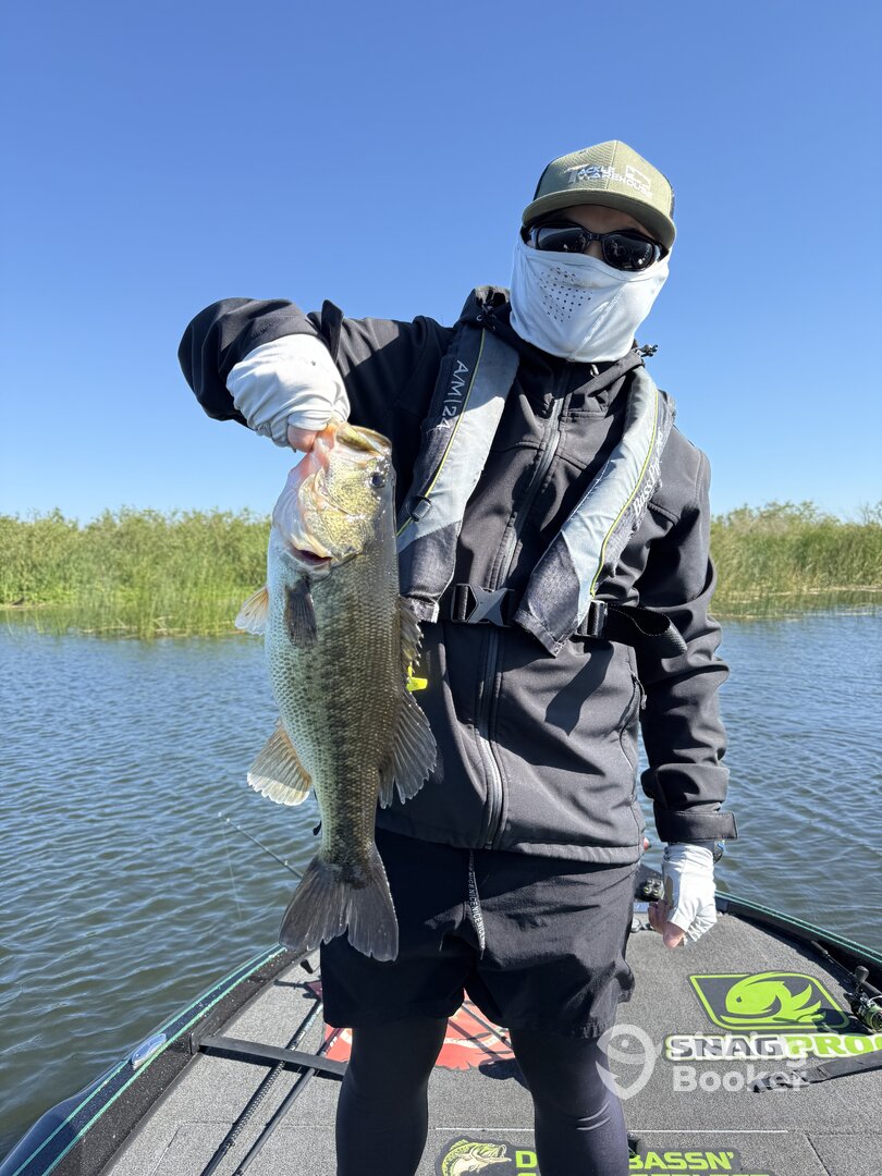 Bethel Island Report Photo 0