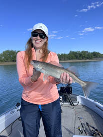 Larimer County Report Photo 3