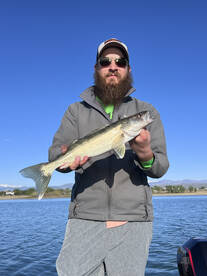 Walleye bite is on fire!!