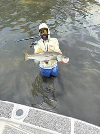 Tampa Report Photo 2