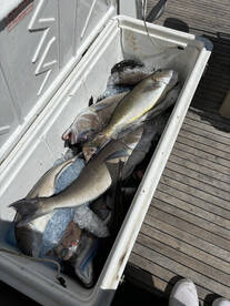 Norfolk Report Photo 2