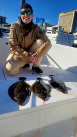 Prime Time for Summer Flounder