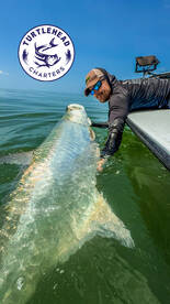 Crystal River Report Photo 1