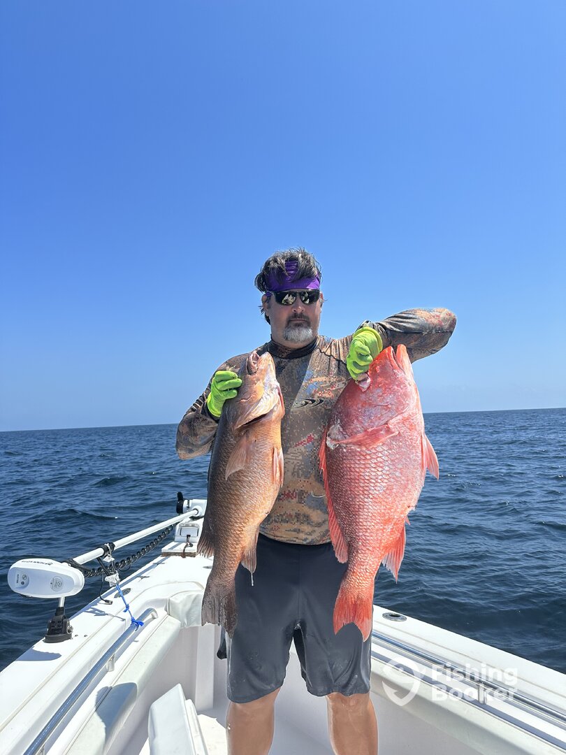 Red and mangrove snappers 