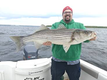 Warwick Report Photo 1