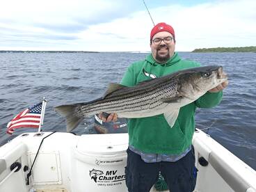 Warwick Report Photo 2