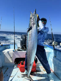 San Jose del Cabo Report Photo 1