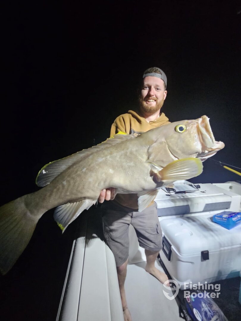 Cape Coral Report Photo 0