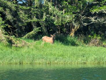 Lincoln City Report Photo 2