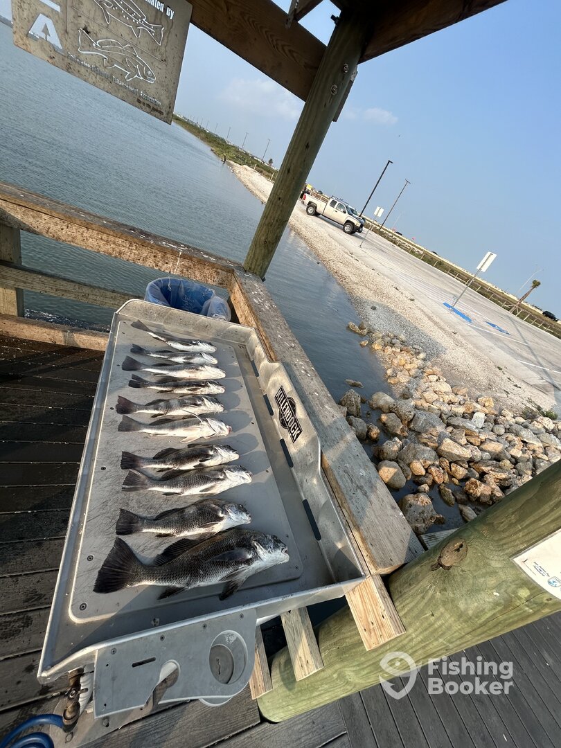 Port Aransas Report Photo 0