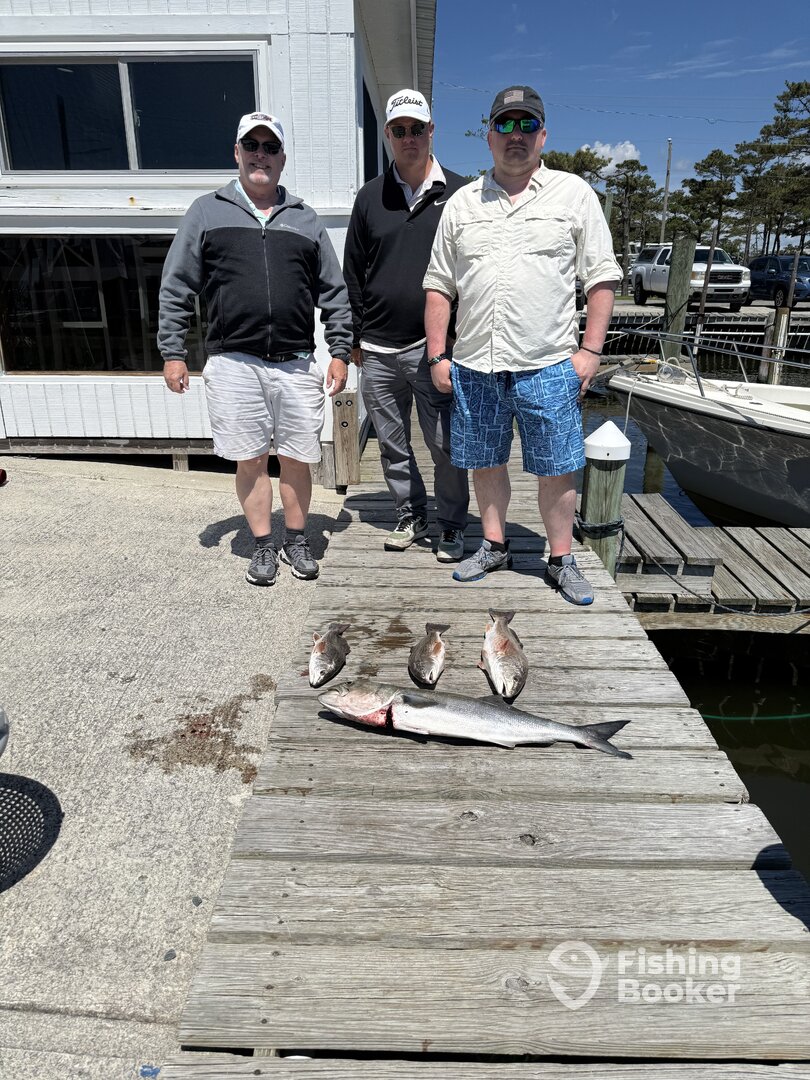 Wanchese Report Photo 0