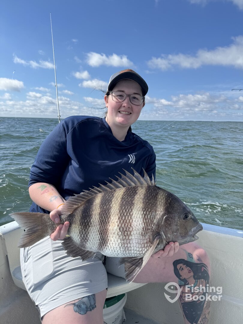 Seaford Report Photo 0