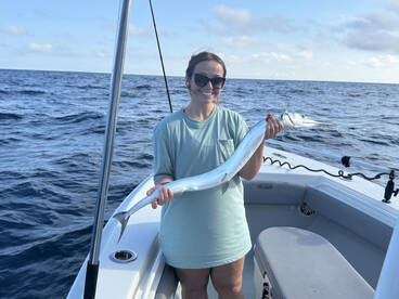 Beaufort Report Photo 1