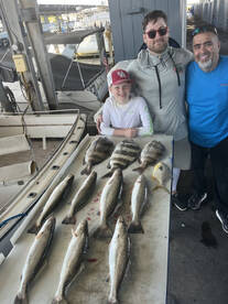 Galveston Report Photo 2