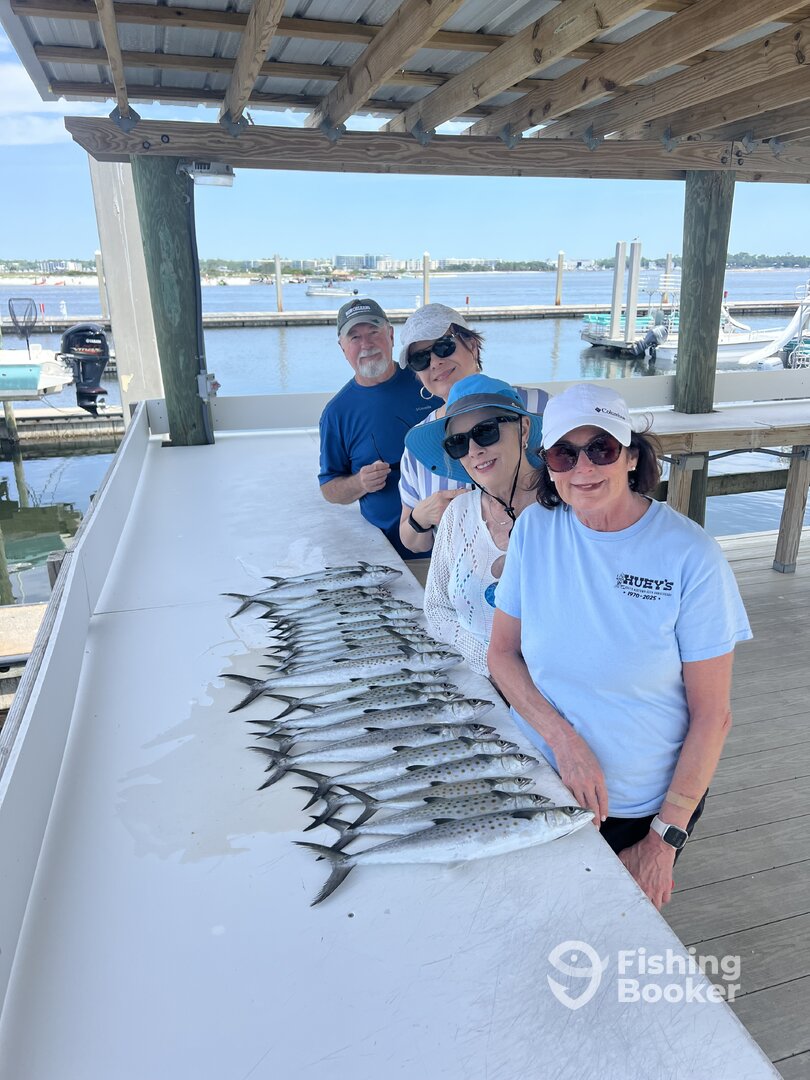 Orange Beach Report Photo 0