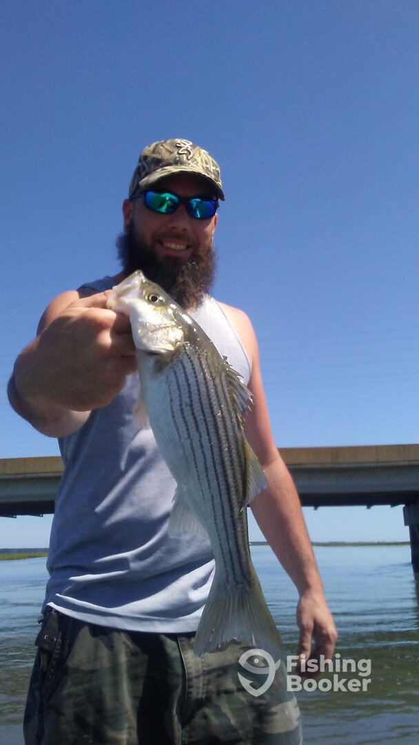 Chincoteague Report Photo 0