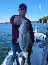 Gainesville Report Photo 2